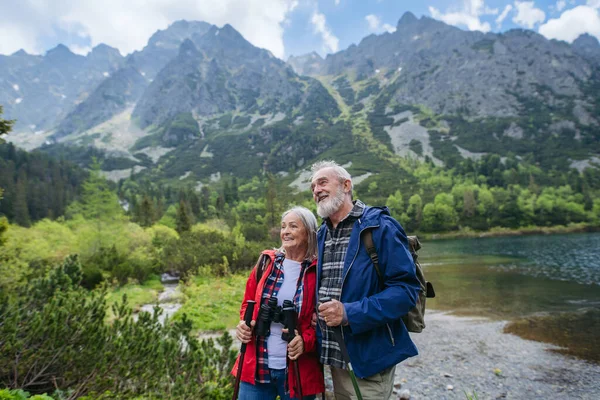 Active elderly couple hiking together in autumn mountains, on senior friendly trail. Husband and wife getting rest during hike, enjoying nature. Senior tourist with backpack using trekking poles for