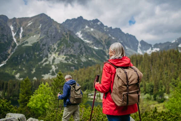 Vista Posteriore Della Coppia Anziani Attivi Escursioni Insieme Montagna Autunno — Foto Stock