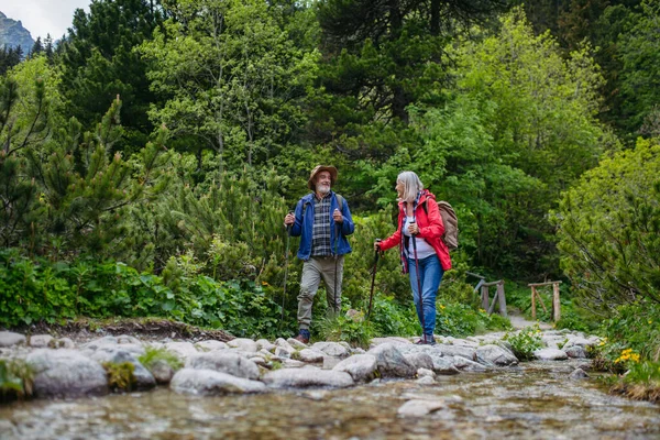 活跃的老夫妇一起在秋天的高山上远足 走在老年人友好的小径上 夫妻二人在溪流边散步 享受大自然 高级旅游者 背负背包 使用远足杆 — 图库照片