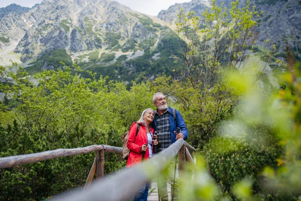 Ritratto Bella Coppia Anziani Attivi Che Camminano Insieme Sulle Montagne — Foto Stock