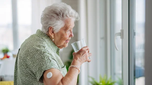 Diabetic Senior Patient Using Continuous Glucose Monitor Check Blood Sugar — Stock Photo, Image
