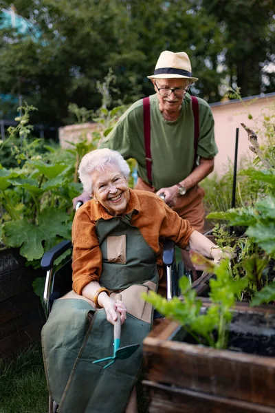 市内の都市庭園の植物の世話をするシニアカップルの肖像画 年金受給者は アパートの複合施設のコミュニティガーデンで一緒にガーデニングに時間を費やしています 看護施設について — ストック写真
