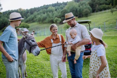 Çiftliklerinde eşek besleyen çiftçi aile portresi. Aile çiftliğinde gri bir katır. Çok nesilli çiftçilik kavramı.