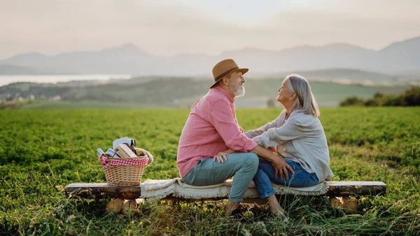 Seniorenpaar Sitzt Auf Der Wiese Und Genießt Romantische Momente Der — Stockfoto