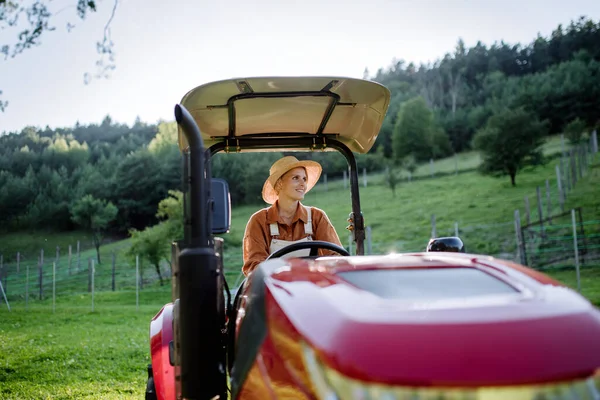 Lerici Kadın Çiftçi Kendi Çiftliğinde Traktör Kullanıyor Tarım Sektöründe Kadın — Stok fotoğraf