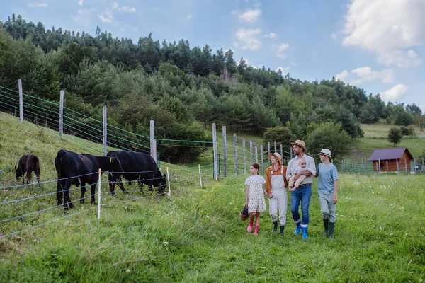 Portrait of farmer family looking at animals in paddock. Farm animals having ideal paddock for grazing. Concept of multigenerational and family farming.