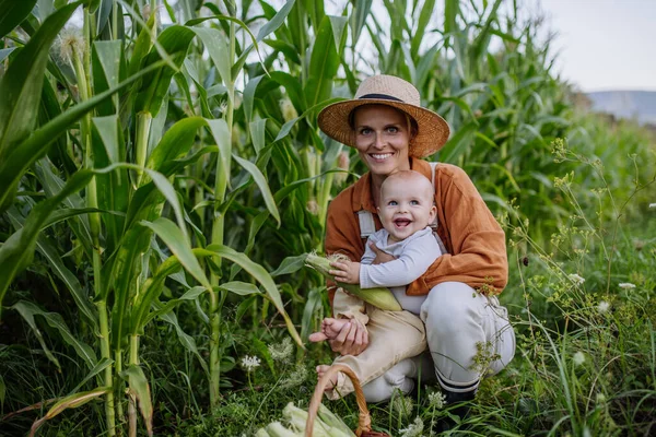 Portrait Female Farmer Beautiful Baby Harvesting Corn Field Cute Baby — Stock Photo, Image