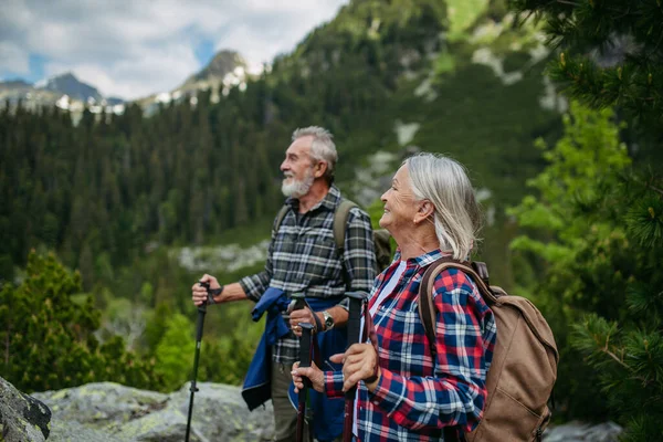 年富力强的老年女子与丈夫在秋天的高山上远足 在老年友好的小径上 带背包的高级旅游者 为稳定起见 使用远足杆 — 图库照片