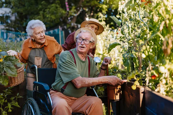 Portrait Senior Friends Taking Care Vegetable Plants Urban Garden City — Stock Photo, Image