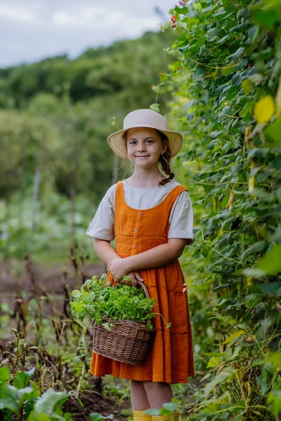 Porträtt Söt Liten Flicka Höstträdgård Den Unga Flickan Klänning Och — Stockfoto