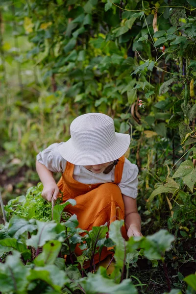 Retrato Una Linda Niña Jardín Otoño Muchacha Joven Vestido Sombrero —  Fotos de Stock