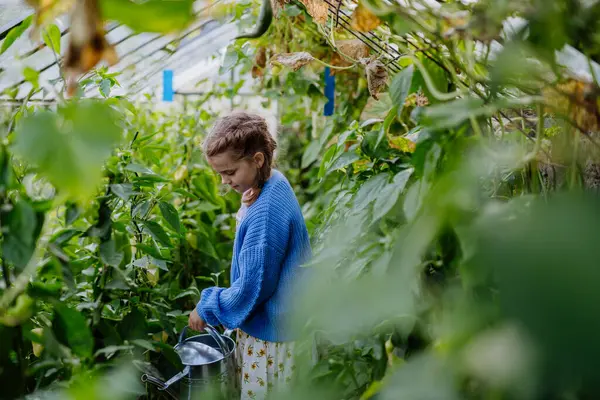 Retrato Una Linda Joven Regando Plantas Con Regadera Invernadero Chica — Foto de Stock