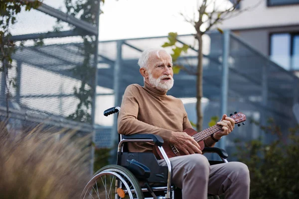 Senior man sitting in a wheelchair outdoors, playing the ukulele. Retired musician playing the guitar, remebering about old times. Therapeutic effects of music on elderly people.