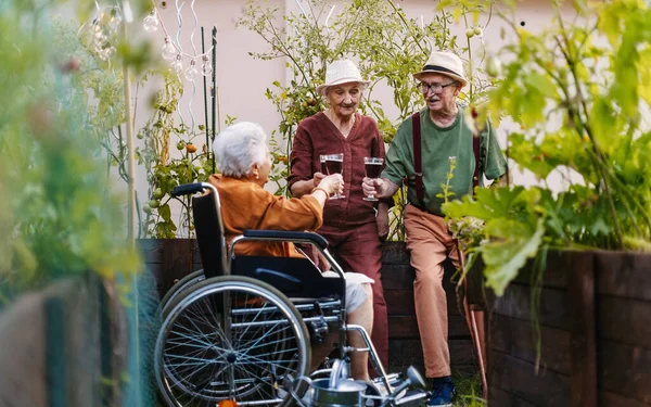 老友们悠闲的画像 在城市花园辛勤劳作后喝一杯葡萄酒 养恤金领取者在公寓建筑群的社区花园一起种花 — 图库照片