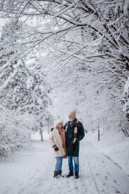 Elegant senior couple walking in the snowy park, during cold winter snowy day. Elderly couple spending winter vacation in the mountains. Wintry landscape. clipart