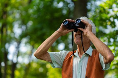 Senior man spending free time outdoors in nature, watching forest animals through binoculars. A retired forest ranger feeling at home in forest, monitoring wildlife and ecological changes. clipart