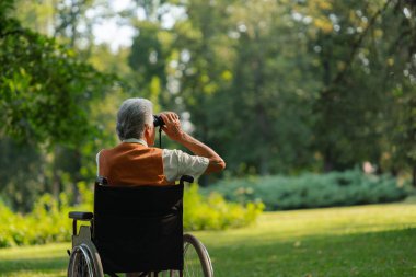 Tekerlekli sandalyedeki yaşlı adamın doğada boş zaman geçirmesini, dürbünle orman hayvanlarını izlemesini. Ormanda kendini evinde hisseden emekli bir orman bekçisi vahşi hayatı izliyor ve...