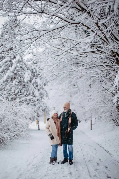 Elegant Senior Couple Walking Snowy Park Cold Winter Snowy Day — Stock Photo, Image