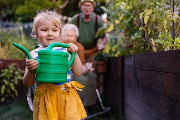 Retrato Uma Menina Adorável Que Trabalha Jardim Seus Avós Uma — Fotografia de Stock