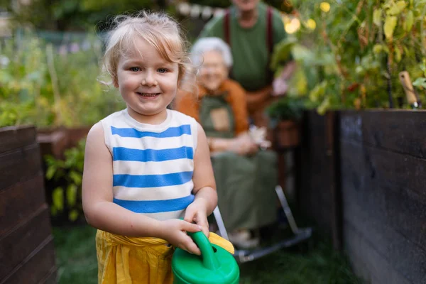 彼女の祖父母の庭で働く小さな愛らしい少女の肖像画 若い女の子は 育てられたベッドで育つ野菜の世話をする — ストック写真