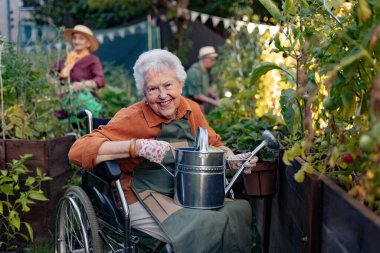 Tekerlekli sandalyedeki yaşlı kadının şehir bahçesindeki domates bitkisiyle ilgilenmesi. Apartmanının bahçesindeki yetiştirilmiş yataklara su koyan yaşlı bir kadın. Huzurevi sakinleri