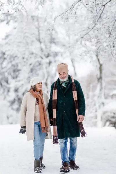 Elegante Pareja Personas Mayores Caminando Parque Nevado Durante Frío Día — Foto de Stock