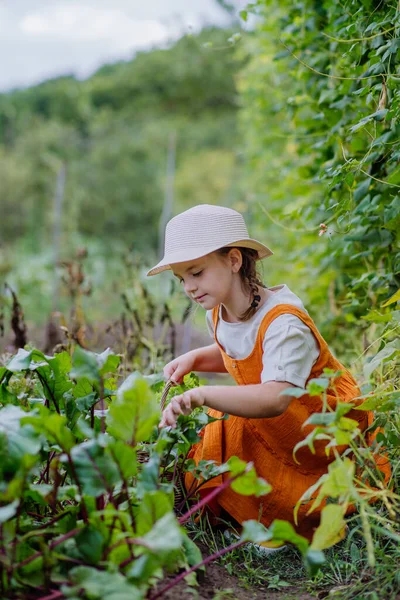 Ritratto Una Graziosa Bambina Che Lavora Giardino Autunnale Ragazza Vestito — Foto Stock