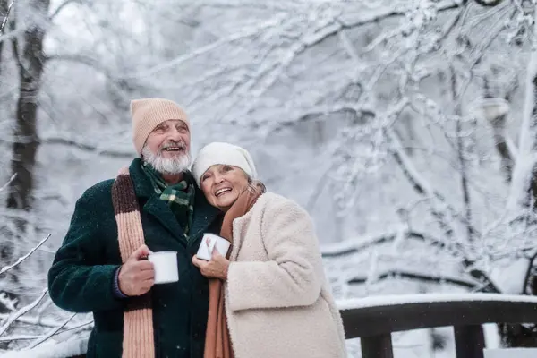 Elegant senior couple having hot tea outdoors, during cold winter snowy day. Elderly couple spending winter vacation in the mountains. Wintry landscape.