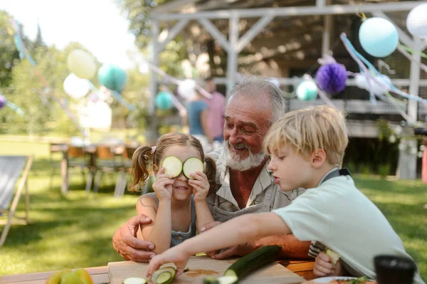 Großvater Und Enkel Amüsieren Sich Beim Gartengrillen Familientreffen Beim Sommergartenfest — Stockfoto