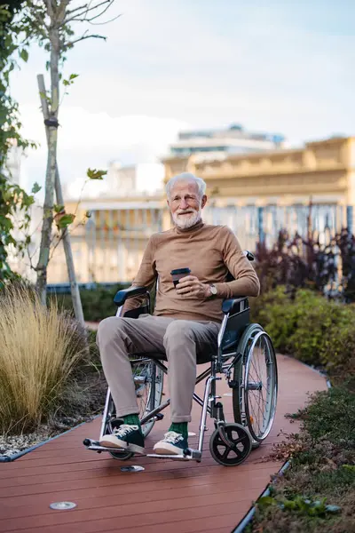 Portrait of senior man in a wheelchair sitting outside in an urban garden, enjoying coffee and warm autumn day. Portrait of a elegant elderly man with gray hair and beard in rooftop garden in the city