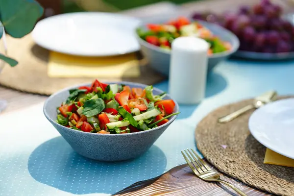 Deliciosa Salada Legumes Frescos Preparação Refeições Refrescos Para Festa Jardim — Fotografia de Stock