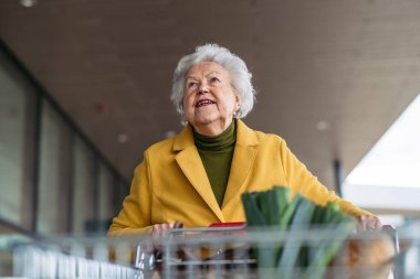 Alışveriş merkezinde alışveriş yapan yaşlı bir kadının portresi. Önüne alışveriş arabası itiyor. Düşük açılı çekim. Yaşlı bayan market alışverişi yapıyor..