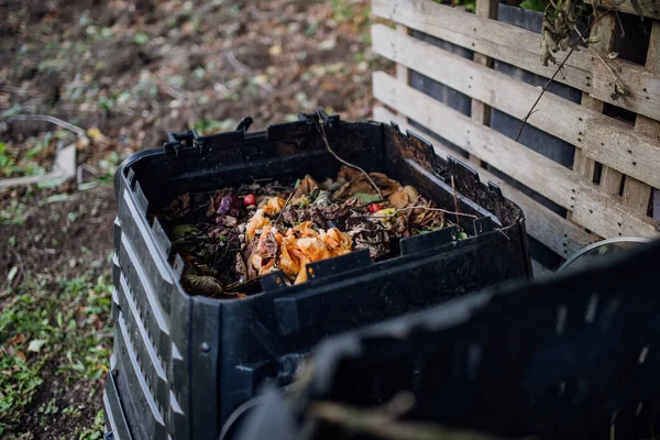 Compost Composter Jardín Poniendo Materiales Orgánicos Restos Cocinas Residuos Patio — Foto de Stock