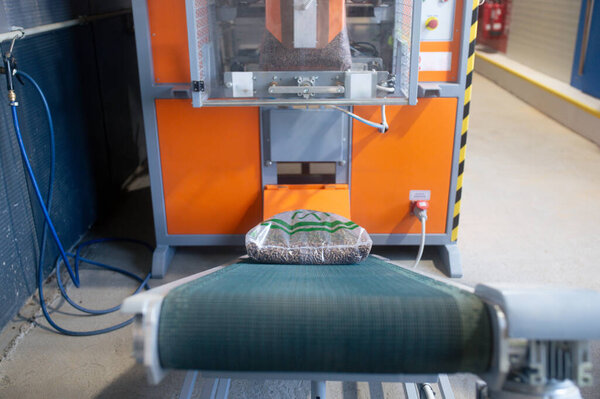 Wood pellet production machine in factory, pellet manufacturing in wood pellet line. Reusing wooden industrial waste, sawdust.