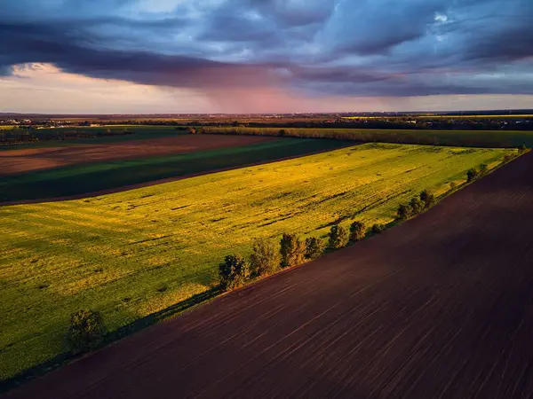 Aerial View Green Summer Farm Fields Crops Pasture Sunset Sunrise — Stock Photo, Image