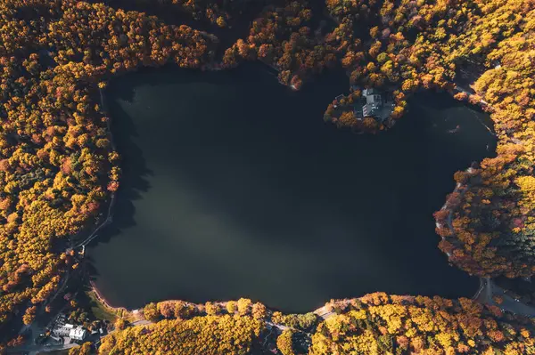 Slovakya 'daki güzel sonbahar ormanlarının ortasındaki göl manzarası. Avrupa seyahat kavramı.