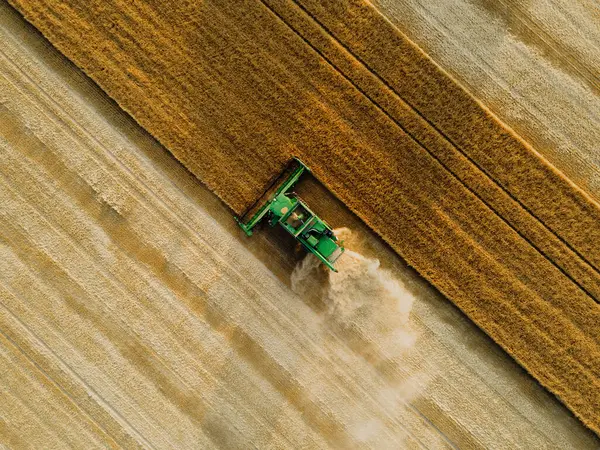 Widok Lotu Ptaka Kombajnu Pracującego Polu Rolnictwo Uprawa Gospodarstw Przemysłowych — Zdjęcie stockowe
