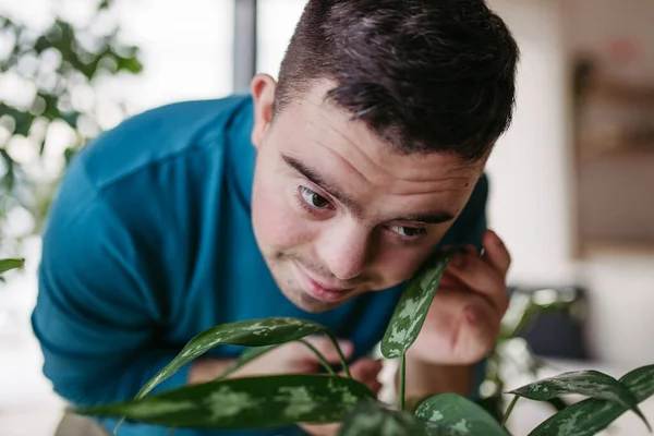 Hombre Joven Con Síndrome Cuidando Planta Interior Tocando Acurrucándose Hoja —  Fotos de Stock