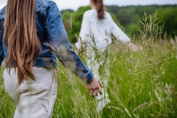 两个姐姐在草地上 在高高的草地上嬉戏 嬉笑着跑着 认真的爱和兄弟姐妹关系概念 — 图库照片