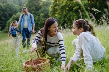 Family on interesting walk in forest, going through meadow. Successful mushroom, herbs medical plants or flowers picking, foraging. Concept of family ecological hobby in nature. clipart