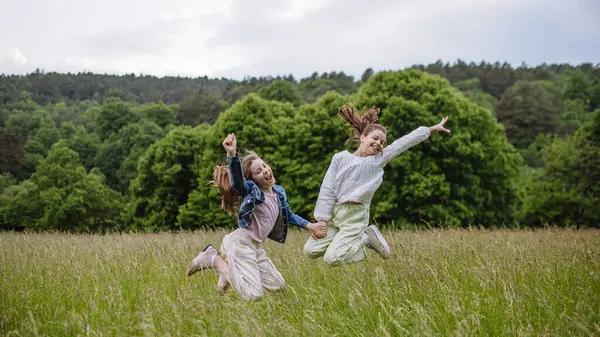 Two Sisters Playing Meadow Tall Grass Running Jumping Having Fun — Stock Photo, Image