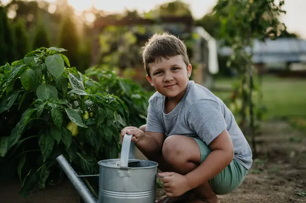 ガーデンベッドを上げてスカウトする少年は 金属製の水を保持することができる 野菜園の世話と成長 春の野菜を植える — ストック写真