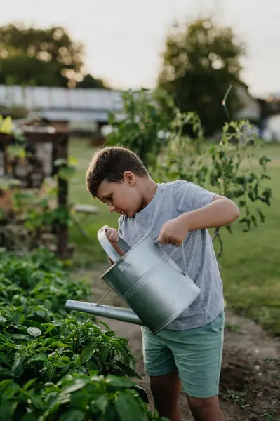 Young Boy Watering Raised Garden Bed Holding Metal Watering Can — Stock Photo, Image