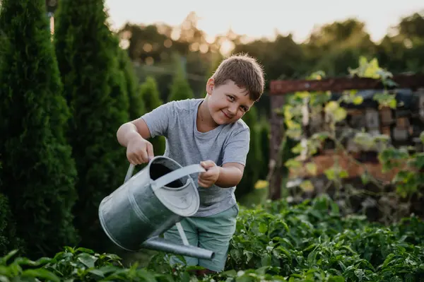 Jeune Garçon Arrosant Lit Jardin Surélevé Tenant Arrosoir Métal Prendre — Photo