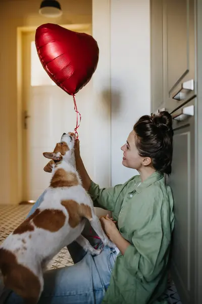 Mooie Vrijgezelle Vrouw Die Met Haar Hond Met Ballon Speelt — Stockfoto