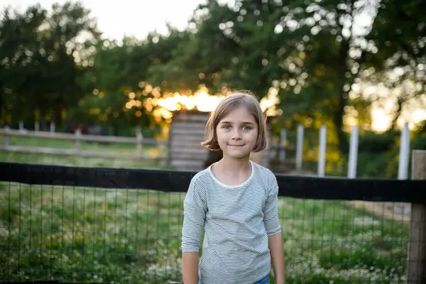 Krásná Mladá Dívka Stojící Louce Během Západu Slunce Pomáhá Rodinné — Stock fotografie