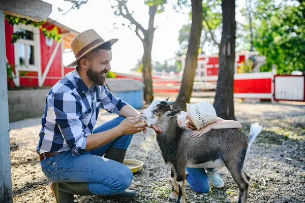 彼の農場で茶色のヤギを飼っているハンサム農家の肖像画 家族の牧場で働く帽子を持つ男 ストック写真