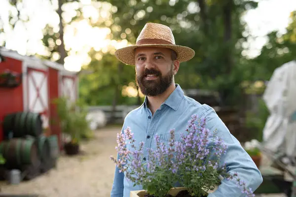 Portrait Handsome Farmer Holding Lavender Plant Pot Working Family Farm Stock Picture