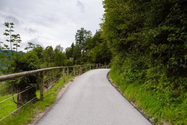 Asfalt yol boyunca orman boyunca ahşap bir korkulukla.