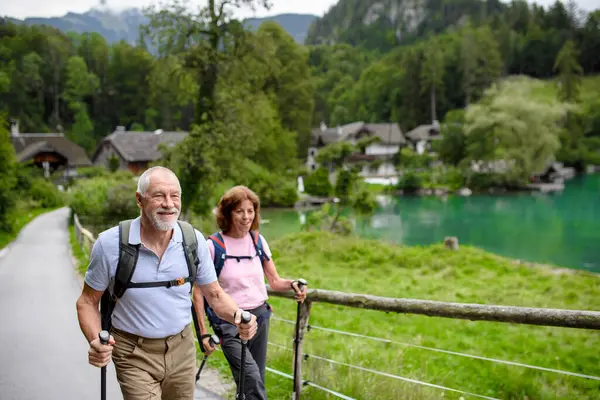 Porträt Eines Aktiven Älteren Ehepaares Das Gemeinsam Den Bergen Wandert — Stockfoto